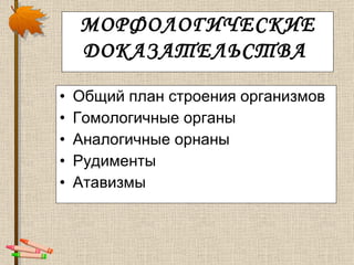МОРФОЛОГИЧЕСКИЕ ДОКАЗАТЕЛЬСТВА   Общий план строения организмов Гомологичные органы Аналогичные орнаны Рудименты Атавизмы 