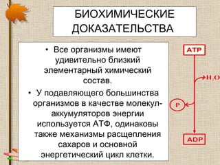 БИОХИМИЧЕСКИЕ ДОКАЗАТЕЛЬСТВА   Все организмы имеют удивительно близкий элементарный химический состав. У подавляющего большинства организмов в качестве молекул-аккумуляторов энергии используется АТФ, одинаковы также механизмы расщепления сахаров и основной энергетический цикл клетки. 