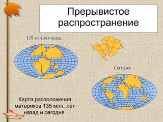 Прерывистое распространение Карта расположения материков 135 млн. лет назад и сегодня   