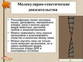 Молекулярн о-генетические   доказательства   Р асшифрова н  геном человека, мыши, дрозофилы, малярийного комара, риса и многих других видов животных, растений, грибов и микроорганизмов.  Мож но  сравнивать гены разных организмов и анализировать сходство и различия между ними. Мож но  изучать гены не только ныне живущих организмов, но и давно вымерших видов, используя следы ДНК в ископаемых останках.  