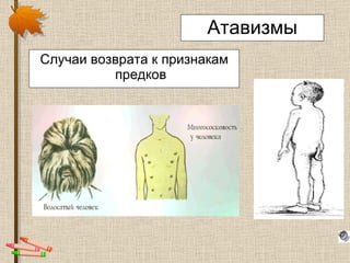 Атавизмы Случаи возврата к признакам предков 