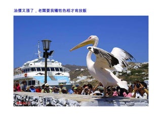 油價又漲了，老闆要我犧牲色相才肯放飯 