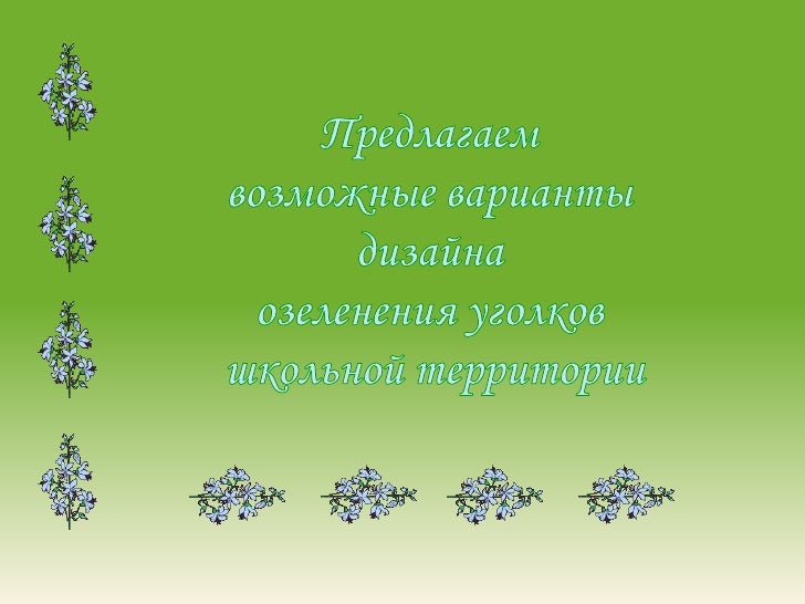 Развитие дизайна в современном обществе