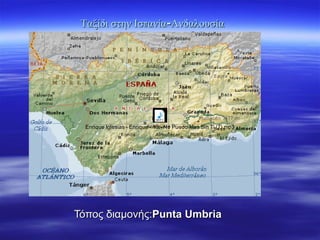 Ταξίδι στην Ισπανία-Ανδαλουσία Τόπος διαμονής: Punta Umbria   