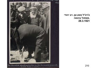210 צ ' רצ ' יל נוטע עץ .  רב יהודי מסתכל בהנאה . 28.3.1921 