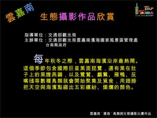 生態 攝影 作品 欣賞 指導單位：交通部觀光局 主辦單位：交通部觀光局雲嘉南濱海國家風景區管理處 台南縣政府 每 年秋冬之際，雲嘉南海濱沿岸最熱鬧。這個季節包含國際巨星黑面琵鷺，還有黑在肚子上的黑腹燕鷗，以及鷺鷥、鸕鶿、雁鴨、反嘴鴴等數種鳥類就會開始聚集及覓食，用翅膀把天空與海濱點綴出五彩繽紛、燦爛的顏色。 雲 嘉 南 