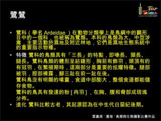 鷺鷥 鷺科（學名 Ardeidae ）在動物分類學上是鳥綱中的鸛形目中的一個科，也被稱為鷺類。本科的鳥類為大、中型涉禽，主要活動於濕地及附近林地，它們是濕地生態系統中的重要指示物種。  特徵  鷺科的鳥類具有「三長」的特點，即喙長、頸長、腿長。鷺科鳥類的體形呈紡錘形，胸前有飾羽，頭頂有的有冠羽，在繁殖期時，這兩部分是重要的炫耀特徵。腿部被羽，脛部裸露，腳三趾在前一趾在後。 鷺科鳥沒有明顯的嗉囊，食道中部膨大，整個食道都能儲存食物。 鷺科的鳥具有發達的粉 [ 冉羽 ] ，在胸、腹和脅部成斑塊分佈。 進化 鷺科比較古老，其起源認為在中生代白堊紀後期。  