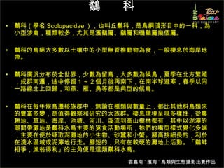 鷸  科 鷸科（學名 Scolopacidae ），也叫丘鷸科，是鳥綱鴴形目中的一科，為小型涉禽，種類較多，尤其是濱鷸屬、鷸屬和磯鷸屬幾個屬。 鷸科的鳥絕大多數以土壤中的小型無脊椎動物為食，一般棲息於海岸地帶。 鷸科廣汎分布於全世界，少數為留鳥，大多數為候鳥，夏季在北方繁殖，成群南遷，途中停留 1 ～ 2 個月後再南下，在南半球避寒，春季以同一路線北上回歸，和燕、雁、鳧等都是典型的候鳥。 鷸科在每年候鳥遷移族群中，無論在種類與數量上，都比其他科鳥類來的豐富多變，是值得觀察和研究的大族群。棲息環境呈現多樣性，從農耕地、草地、海岸、池塘、河川、溪流到高山樹林都有，其中以泥濘的潮間帶灘地是鷸科水鳥主要的覓食活動場所，牠們的嘴型樣式變化多端，主要在便於啄取泥灘地的小生物、砂蠶和小蟹。腳高挑細長的，利於在淺水區域或泥濘地行走。腳短的，只有在較硬的灘地上活動。「鷸蚌相爭，漁翁得利」的主角便是這類鷸科水鳥。 