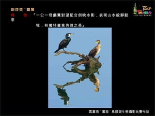 銅牌獎 ˙ 鸕鶿 特　　色： 『一公一母鸕鶿對望配合倒映水影，表現山水般靜懿意 　　　　　　境，有獨特畫意典雅之美』  