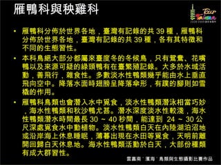 雁鴨科與秧雞科 雁鴨科分佈於世界各地，臺灣有記錄的共 39 種，雁鴨科分佈於世界各地，臺灣有記錄的共 39 種，各有其特徵和不同的生態習性。 本科鳥絕大部分都屬來臺度冬的冬候鳥，只有鴛鴦、花嘴鴨以及來源可疑的綠頭鴨有在臺繁殖記錄。大多於水域活動，善飛行，雜食性。多數淡水性鴨類幾乎能由水上垂直飛向空中。降落水面時翅膀呈降落傘形，有蹼的腳則如雪橇的作用。 雁鴨科鳥類也會潛入水中覓食，淡水性鴨類潛泳相當巧妙，海水性鴨類和秋沙鴨尤甚。潛水深度淡水性較淺，海水性鴨類潛水時間最長 30 ～ 40 秒間，能達到  24 ～ 30 公尺深處覓食水中動植物。淡水性鴨類白天在內陸湖泊沼地或沿岸海上休息睡眠，薄暮出現在水田等覓食，天明前離開回歸白天休息地。海水性鴨類活動於白天，大部份種類有成大群習性。 