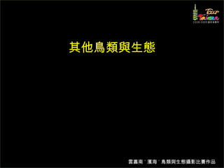 其他鳥類與生態 