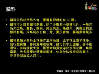鷗科 鷗科分佈於世界各地，臺灣有記錄的有 28 種。  鷗科可分類為鷗和燕鷗，除了少數為小型種以外，一般均為大型鳥。翼長，端尖。尾呈角形。喙強大，尖端呈鈎形。腳趾有蹼。成鳥羽衣白色，背、翼灰青色，翼端黑色居多。 鷗科鳥類分布於全球海洋沿岸地域，北半球比南半球多。飛行鼓翼慢，善於滑翔或帆翔，雖巧於水上遊戲，卻不能潛泳。有時捕食生魚，惟通常均覓食浮於水面之獸、魚類腐屍，故多群棲於港灣或海邊，休息於防波堤或岩礁上，亦見於湖泊或大河川。  