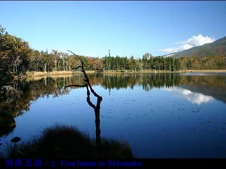 知床五湖 -2. Five lakes in Shiretoko  