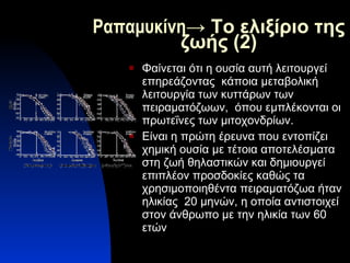 Ραπαμυκίνη -> Το ελιξίριο της ζωής (2) Φαίνεται ότι η ουσία αυτή λειτουργεί επηρεάζοντας  κάποια μεταβολική λειτουργία των κυττάρων των πειραματόζωων,  όπου εμπλέκονται οι πρωτεΐνες των μιτοχονδρίων. Είναι η πρώτη έρευνα που εντοπίζει χημική ουσία με τέτοια αποτελέσματα στη ζωή θηλαστικών και δημιουργεί επιπλέον προσδοκίες καθώς τα χρησιμοποιηθέντα πειραματόζωα ήταν ηλικίας  20 μηνών, η οποία αντιστοιχεί  στον άνθρωπο με την ηλικία των 60 ετών 