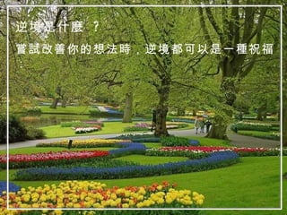 逆境是什麼  ? 嘗試改善你的想法時，逆境都可以是一種祝福： 