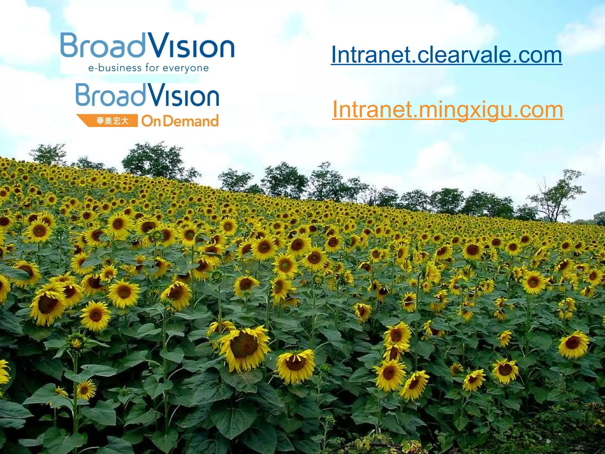 Intranet.clearvale.com Intranet.mingxigu.com 