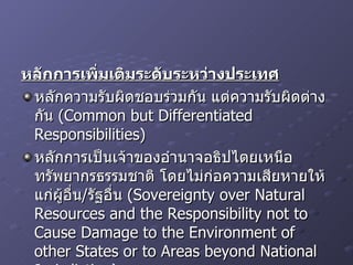 หลักการเพิ่มเติมระดับระหว่างประเทศ หลักความรับผิดชอบร่วมกัน แต่ความรับผิดต่างกัน  (Common but Differentiated Responsibilities) หลักการเป็นเจ้าของอำนาจอธิปไตยเหนือทรัพยากรธรรมชาติ โดยไม่ก่อความเสียหายให้แก่ผู้อื่น / รัฐอื่น  (Sovereignty over Natural Resources and the Responsibility not to Cause Damage to the Environment of other States or to Areas beyond National Jurisdiction) 