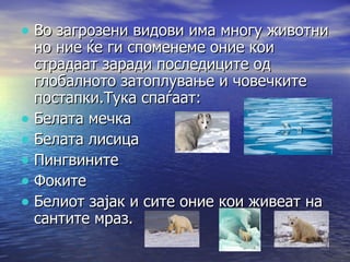 Во загрозени видови има многу животни но ние ќе ги споменеме оние кои страдаат заради последиците од глобалното затоплување и човечките постапки.Тука спаѓаат : Белата мечка Белата лисица Пингвините Фоките Белиот зајак и сите оние кои живеат на сантите мраз. 