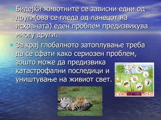Бидејќи животните се зависни едни од други(ова се гледа од ланецот на исхраната) еден проблем предизвикува многу други. За крај глобалното затоплување треба да се сфати како сериозен проблем, зошто може да предизвика катастрофални последици и уништување на живиот свет. 