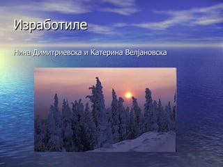 Изработиле  Нина Димитриевска и Катерина Велјановска 