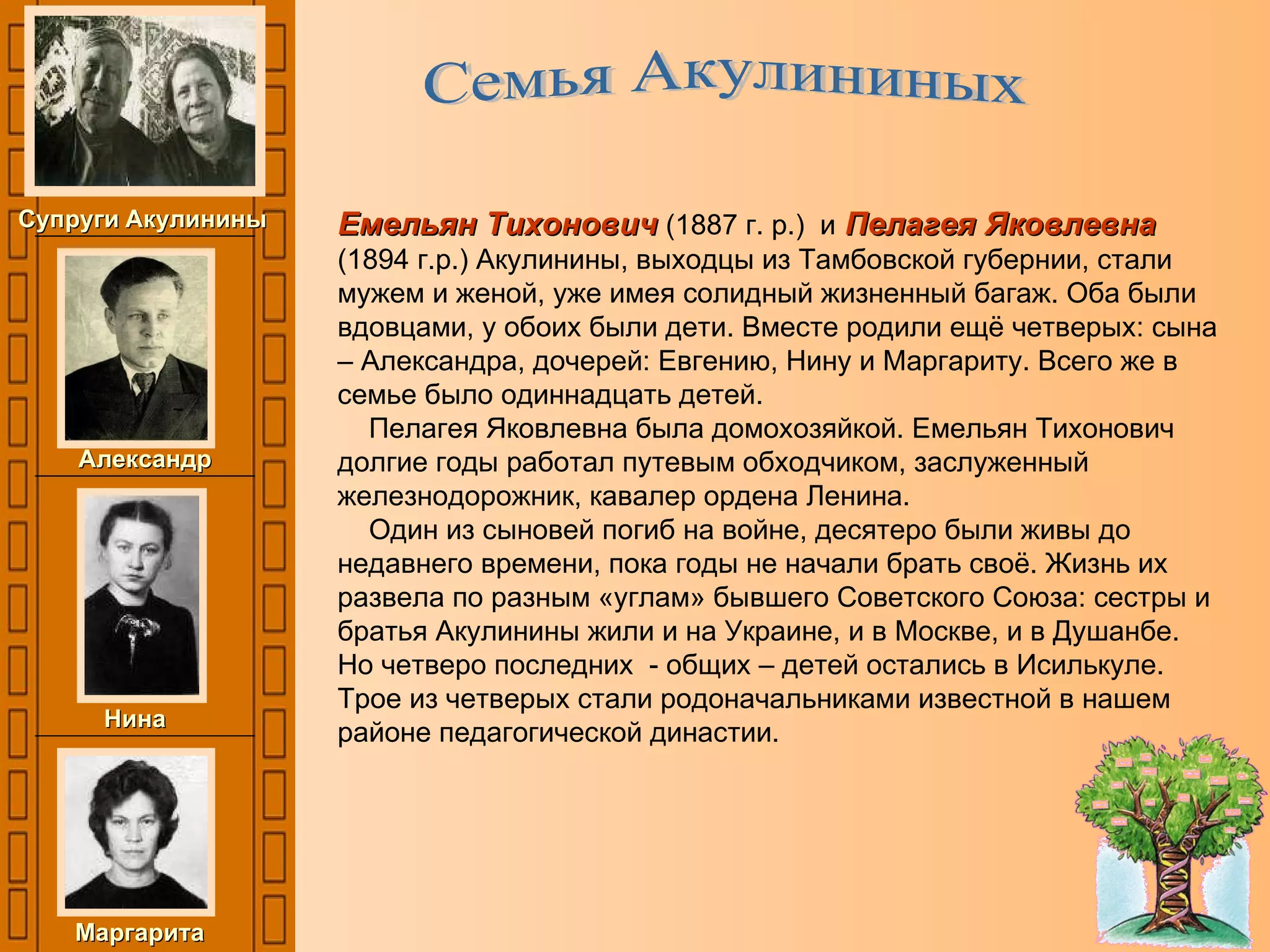 Емельян Тихонович   (1887 г. р.)  и   Пелагея Яковлевна   (1894 г.р.) Акулинины, выходцы из Тамбовской губернии, стали мужем и женой, уже имея солидный жизненный багаж. Оба были вдовцами, у обоих были дети. Вместе родили ещё четверых: сына – Александра, дочерей: Евгению, Нину и Маргариту. Всего же в семье было одиннадцать детей.  Пелагея Яковлевна была домохозяйкой. Емельян Тихонович долгие годы работал путевым обходчиком, заслуженный железнодорожник, кавалер ордена Ленина. Один из сыновей погиб на войне, десятеро были живы до недавнего времени, пока годы не начали брать своё. Жизнь их развела по разным «углам» бывшего Советского Союза: сестры и братья Акулинины жили и на Украине, и в Москве, и в Душанбе. Но четверо последних  - общих – детей остались в Исилькуле. Трое из четверых стали родоначальниками известной в нашем районе педагогической династии. Супруги   Акулинины Семья Акулининых Александр Нина Маргарита 