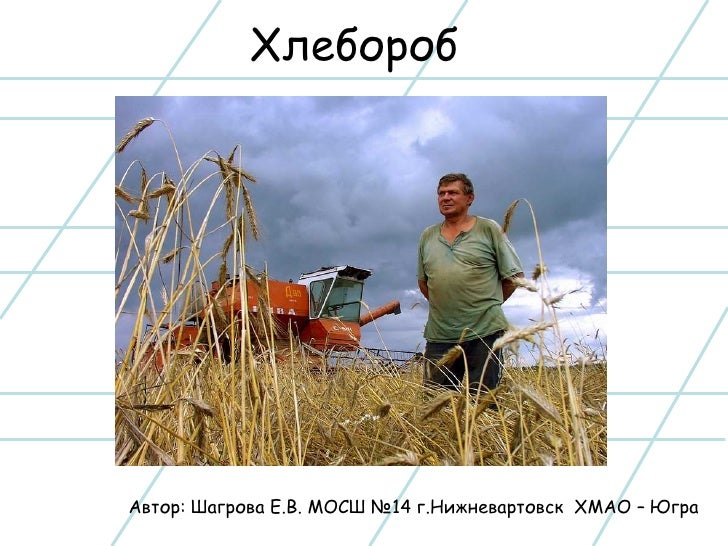 хлебороб