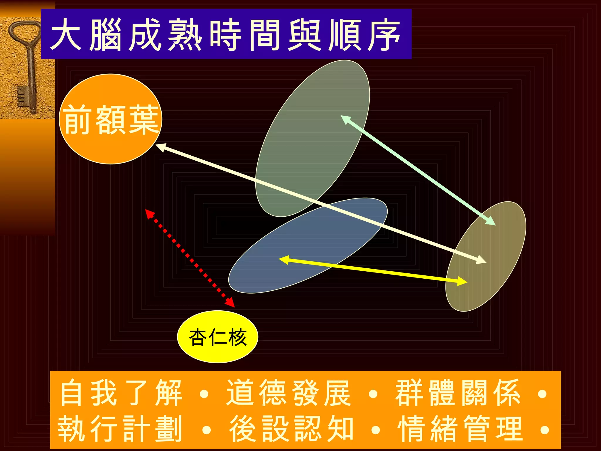 自我了解 • 道德發展 • 群體關係 • 執行計劃   • 後設認知 • 情緒管理 • 大腦成熟時間與順序 前額葉 杏仁核 