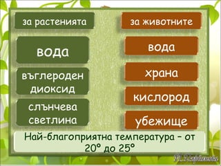 за растенията за животните вода въглероден диоксид слънчева светлина вода храна кислород убежище Най-благоприятна температура – от 20º до 25º 