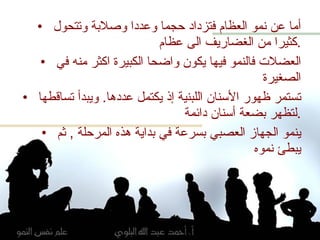 أما عن نمو العظام فتزداد حجما وعددا وصلابة وتتحول كثيرا من الغضاريف الى عظام . العضلات فالنمو فيها يكون واضحا الكبيرة اكثر منه في الصغيرة تستمر ظهور الأسنان اللبنية إذ يكتمل عددها .  ويبدأ تساقطها لتظهر بضعة أسنان دائمة  . ينمو الجهاز العصبي بسرعة في بداية هذه المرحلة  ,  ثم يبطئ نموه 