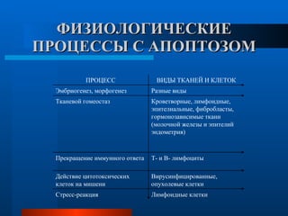 ФИЗИОЛОГИЧЕСКИЕ ПРОЦЕССЫ С АПОПТОЗОМ Лимфоидные клетки Стресс-реакция Вирусинфицированные, опухолевые клетки Действие цитотоксических клеток на мишени Т- и В- лимфоциты Прекращение иммунного ответа Кроветворные, лимфоидные, эпителиальные, фибробласты, гормонозависимые ткани (молочной железы и эпителий эндометрия) Тканевой гомеостаз Разные виды Эмбриогенез, морфогенез ВИДЫ ТКАНЕЙ И КЛЕТОК ПРОЦЕСС 