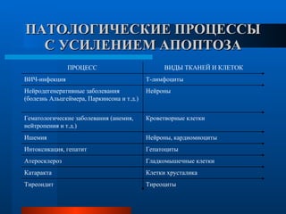 ПАТОЛОГИЧЕСКИЕ ПРОЦЕССЫ С УСИЛЕНИЕМ АПОПТОЗА Тиреоциты  Тиреоидит  Клетки хрусталика Катаракта Гладкомышечные клетки Атеросклероз Гепатоциты  Интоксикация, гепатит Нейроны, кардиомиоциты Ишемия  Кроветворные клетки Гематологические заболевания (анемия, нейтропения и т.д.) Нейроны Нейродегенеративные заболевания (болезнь Альцгеймера, Паркинсона и т.д.) Т-лимфоциты ВИЧ-инфекция ВИДЫ ТКАНЕЙ И КЛЕТОК ПРОЦЕСС 