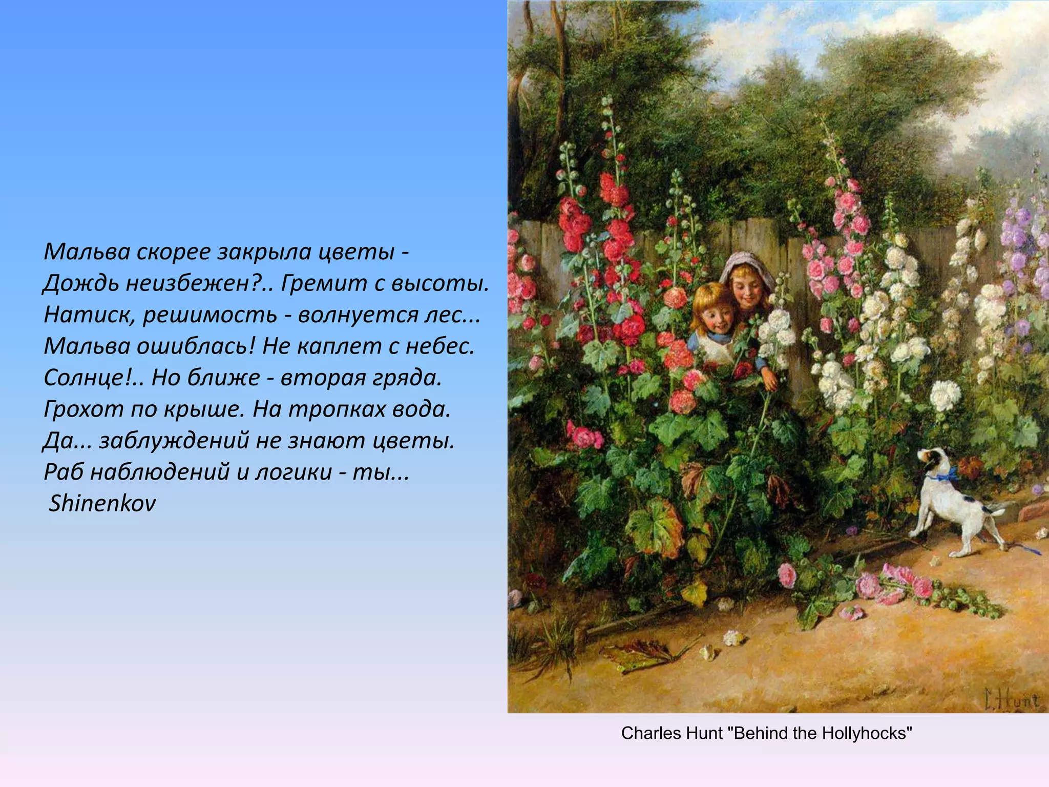 Мальва скорее закрыла цветы -Дождь неизбежен?.. Гремит с высоты.Натиск, решимость - волнуется лес...Мальва ошиблась! Не каплет с небес.Солнце!.. Но ближе - вторая гряда.Грохот по крыше. На тропках вода.Да... заблуждений не знают цветы.Раб наблюдений и логики - ты...ShinenkovCharlesHunt "BehindtheHollyhocks"