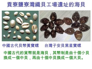 貢寮鹽寮灣織貝工場遺址的海貝 中國古代貝幣黃寶螺  台灣子安貝黑星寶螺 中國古代的貨幣就是海貝，其幣制是由十個小貝換成一個中貝，再由十個中貝換成一個大貝。  