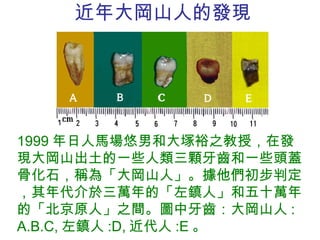 近年大岡山人的發現 1999 年日人馬場悠男和大塚裕之教授，在發現大岡山出土的一些人類三顆牙齒和一些頭蓋骨化石，稱為「大岡山人」。據他們初步判定，其年代介於三萬年的「左鎮人」和五十萬年的「北京原人」之間。圖中牙齒：大岡山人 : A.B.C, 左鎮人 :D, 近代人 :E 。 
