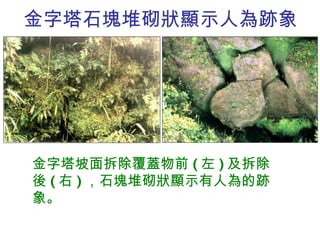 金字塔石塊堆砌狀顯示人為跡象 金字塔坡面拆除覆蓋物前 ( 左 ) 及拆除後 ( 右 ) ，石塊堆砌狀顯示有人為的跡象。 