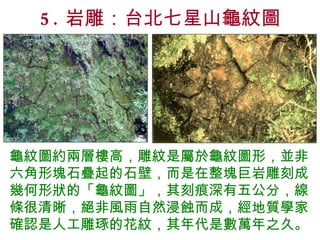 5. 岩雕：台北七星山龜紋圖 龜紋圖約兩層樓高，雕紋是屬於龜紋圖形，並非六角形塊石疊起的石壁，而是在整塊巨岩雕刻成幾何形狀的「龜紋圖」，其刻痕深有五公分，線條很清晰，絕非風雨自然浸蝕而成，經地質學家確認是人工雕琢的花紋，其年代是數萬年之久。 