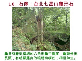 10. 石像：台北七星山龜形石 龜身有雕刻精細的六角形龜甲圖案，龜頭伸出長頸，有明顯雕刻的眼睛和嘴巴，栩栩如生。 