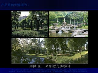 生态广场 —— 结合自然的景观设计 