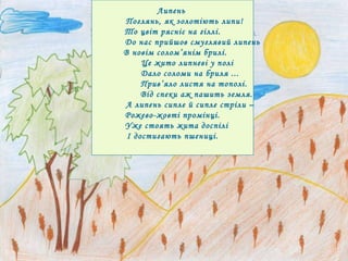 Липень  Поглянь, як золотіють липи! То цвіт рясніє на гіллі. До нас прийшов смуглявий липень  В новім солом’янім брилі. Це жито липневі у полі  Дало соломи на бриля ... Прив’яло листя на тополі. Від спеки аж пашить земля. А липень сипле й сипле стріли – Рожево-жовті промінці. Уже стоять жита доспілі  І достигають пшениці.  