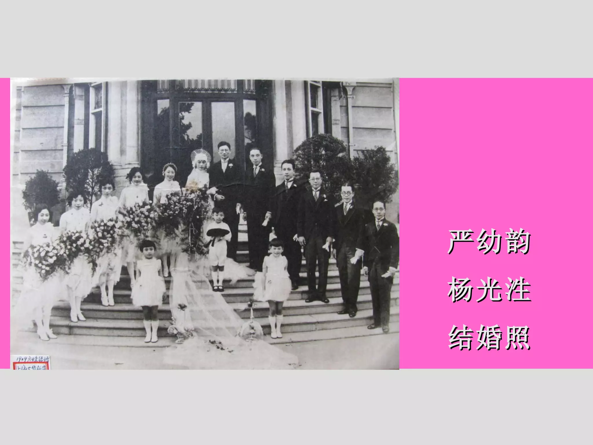 严幼韵 杨光泩 结婚照 