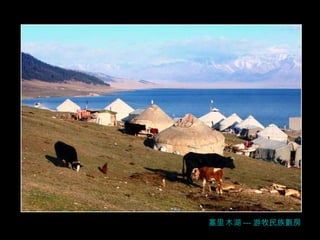 塞 里 木湖 --- 游牧民族氈房 