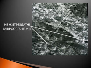 НЕ ЖИТТЄЗДАТНІМІКРООРГАНІЗМИ