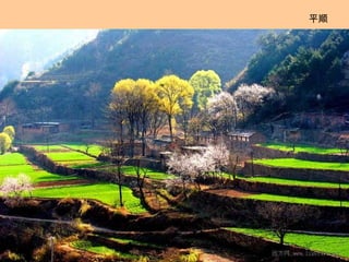 平顺 