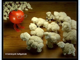 A bárányok hallgatnak 