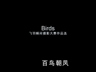 Birds 飞羽瞬间摄影大赛作品选 百鸟朝凤 作品选 
