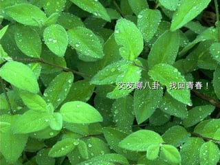 交友聊八卦、找回青春！ 