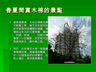 春夏間賞木棉的景點  當春風輕拂，大地彷彿剛從夢中甦醒之際，幾乎所有植物的新芽都像伸直懶腰的精靈，慢慢掀去冬天的沉重氛圍，嫩綠、初綠、新綠……，空氣中瀰漫著小小的騷動，花草樹木迎風搖曳新生，輕吟春之歌。 然而，此時獨見木棉一樹蓊鬱竟漸轉枯黃，落葉隨風飄搖，在一片綠意盎然的視覺中，似秋之楓紅，頻添春寒蕭索。 