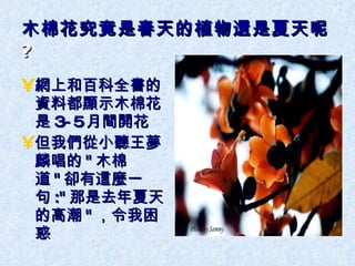 木棉花究竟是春天的植物還是夏天呢 ? 網上和百科全書的資料都顯示木棉花是 3-5 月間開花 但我們從小聽王夢麟唱的 " 木棉道 " 卻有這麼一句 :" 那是去年夏天的高潮 " ，令我困惑   
