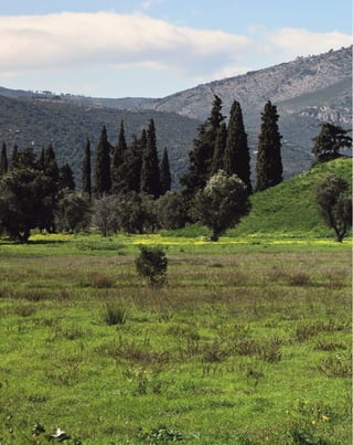 ο μαραθών και το αρχαιολογικό μουσείο