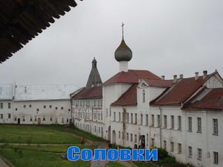 Соловки 